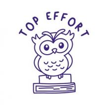 MERIT STAMP SELF-INKING - TOP EFFECT OWL
